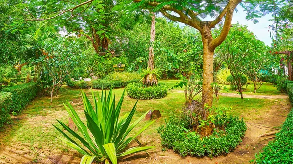 Relax in garden of bee farm, Phuket, Thailand — Stock Photo, Image