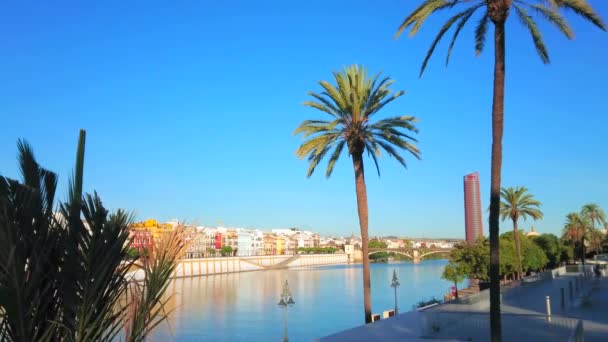 Promenada Nad Rzeką Guadalquivir Widokiem Dzielnicę Triana Przeciwległym Brzegu Most — Wideo stockowe