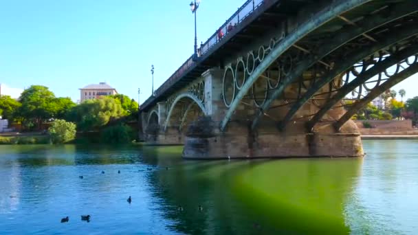 Seville Spanya Ekim 2019 Guadalquivir Nehri Üzerindeki Kemerli Isabel Köprüsü — Stok video