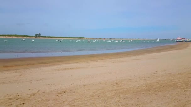 Panorama Calzada Beach Many Moored Boats Rocking Waters Guadalquivir River — ストック動画