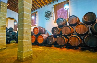 Visit vintage Bodegas in Jerez, Spain