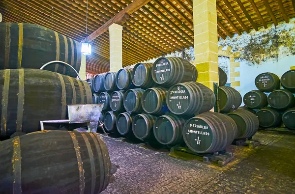 Among the Sherry casks of old winery, Jerez, Spain — Stock Photo, Image