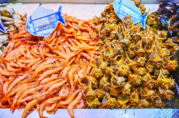 Креветки и морские улитки, Рынок Абастос, Херес, Испания — стоковое фото