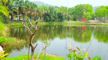 Gölün kenarında gölgeli Royal Park Rajapruek 'te (Ratchaphruek) dinlenin, yemyeşil, palmiye bahçesi ve otlakların tadını çıkarın, karşı kıyıda yer alan Uluslararası bahçelerin, Chiang Mai, Tayland