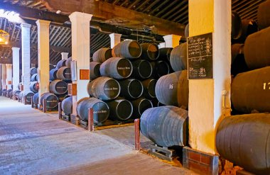 Gonzalez Byass Sherry House, Bodegas Tio Pepe, Jerez, İspanya