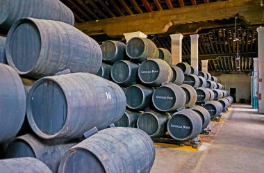 Bodegas Tio Pepe Şaraphanesi, Jerez, İspanya
