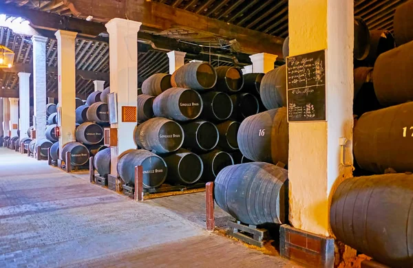 Gonzalez Byass Sherry House, Bodegas Tio Pepe, Jerez, Spain — Stock Photo, Image