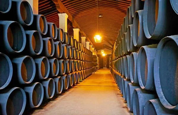 Visite Bodegas Tio Pepe cave, Jerez, Espagne — Photo