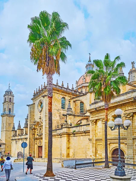 İspanya 'daki Jerez Katedrali' ndeki palmiyeler — Stok fotoğraf