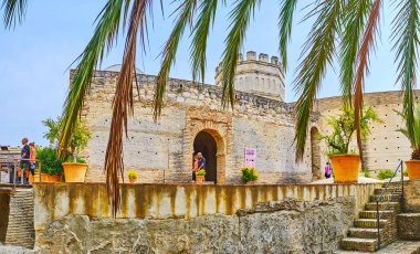 Alcazar 'ın antik binaları dallar arasında, Jerez, İspanya