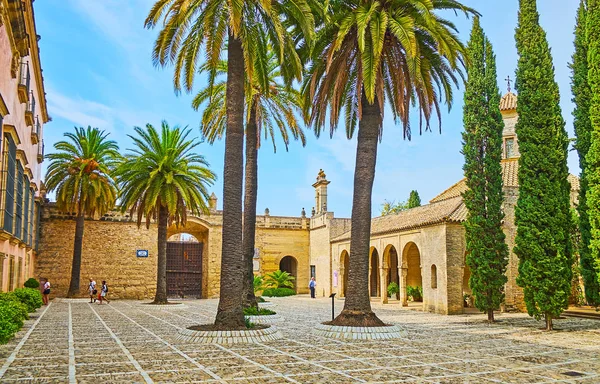 Lange palmen in Patio de Armas, Alcazar, Jerez, Spanje — Stockfoto