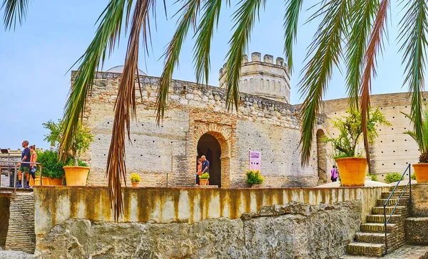 Edifícios antigos de Alcazar através dos ramos, Jerez, Espanha — Fotografia de Stock