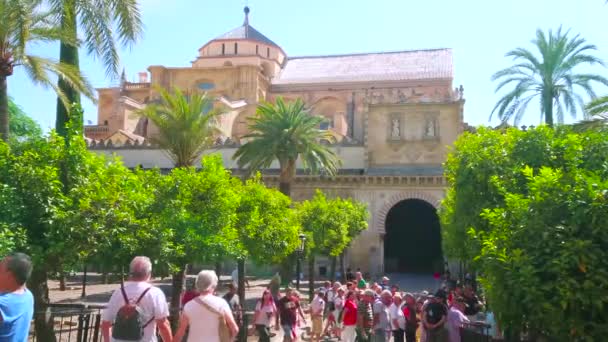 Cordoba Spanien September 2019 Der Überfüllte Innenhof Patio Los Naranjos — Stockvideo