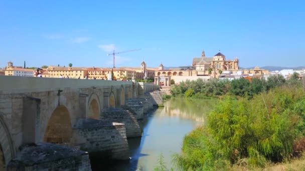 Iconic Cordoba Cityscape Antik Mészkő Római Híd Növényzet Guadalquivir Folyón — Stock videók