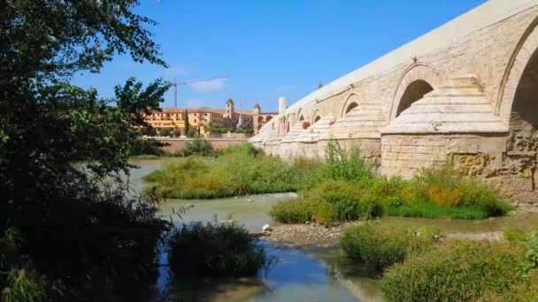 Тенистый Берег Реки Гвадалквививир Выходит Сохранившийся Каменный Арочный Римский Мост — стоковое видео