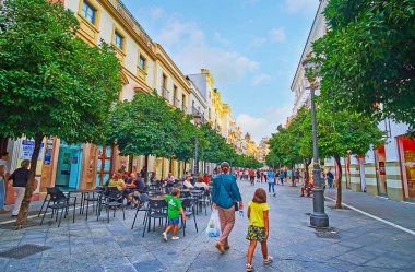 Jerez, İspanya 'nın şehri.
