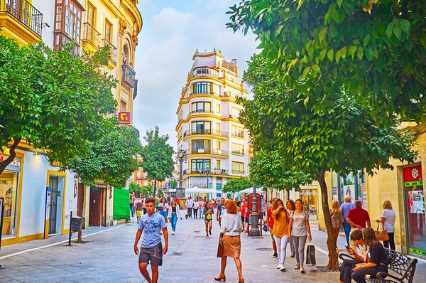 スペインのJerez 、 Calle Largaの緑の路地 — ストック写真