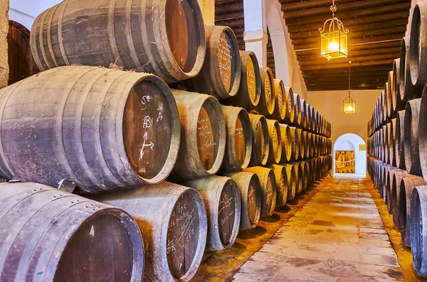 Interior of Bodega La Constancia, Tio Pepe winery, Jerez, Spain — Stock Photo, Image