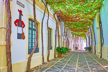 Jerez, İspanya - 20 Eylül 2019: 20 Eylül 'de Jerez' de Bodegas Tio Pepe 'de üzüm bağlarıyla çevrili Calle siegos sokağı