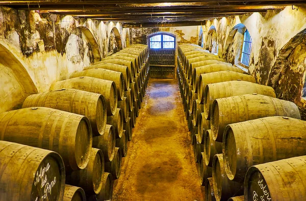 Visit Bodega Solera 1847, Tio Pepe winery, Jerez, Spain — Stock Photo, Image