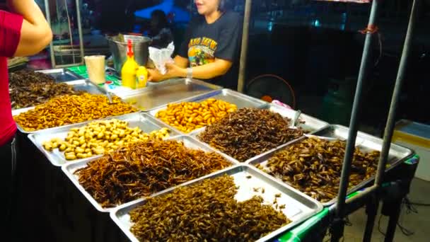 Nang Thailand April 2019 Stekt Insekter Locka Turister Till Båset — Stockvideo