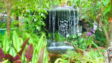 Rajapruek Park, Chiang Mai, Tayland 'ın orkide bahçesindeki tropikal yeşillik ve parlak renkli çiçeklerin arasındaki şelale.