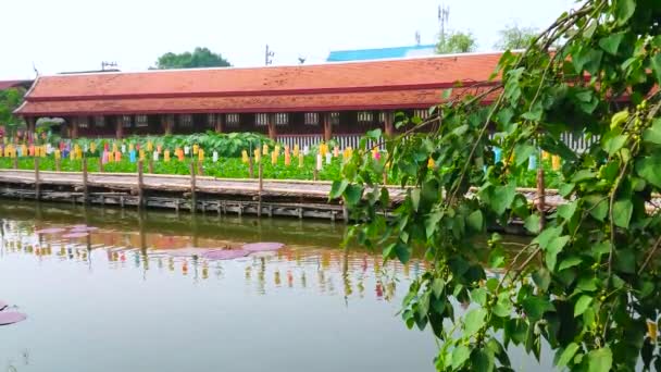 Edificio Monástico Pasarela Bambú Con Linternas Colores Lago Del Templo — Vídeos de Stock