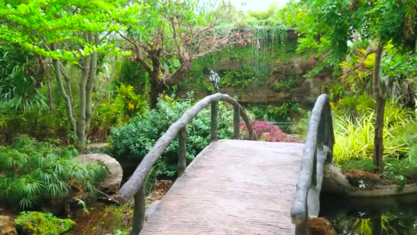 Piccolo Ponte Sul Torrente Fronte Alla Cascata Nel Giardino Ombreggiato — Video Stock