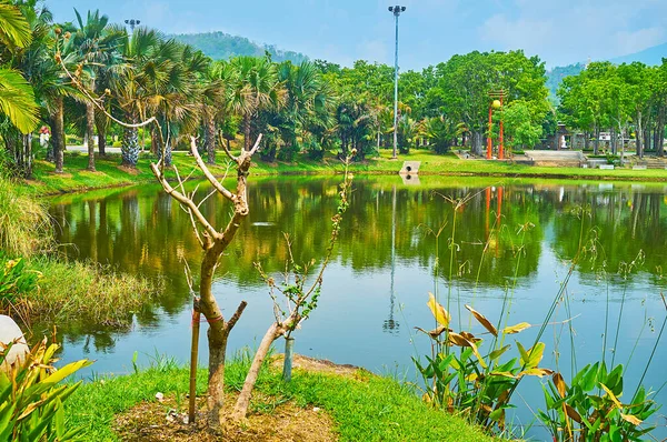 Озеро в парку Раджапрюк (Чіангмай, Таїланд). — стокове фото