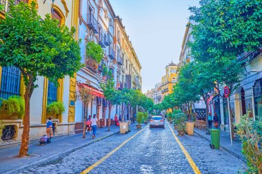 İspanya, Seville 'in merkezindeki karanlık cadde.