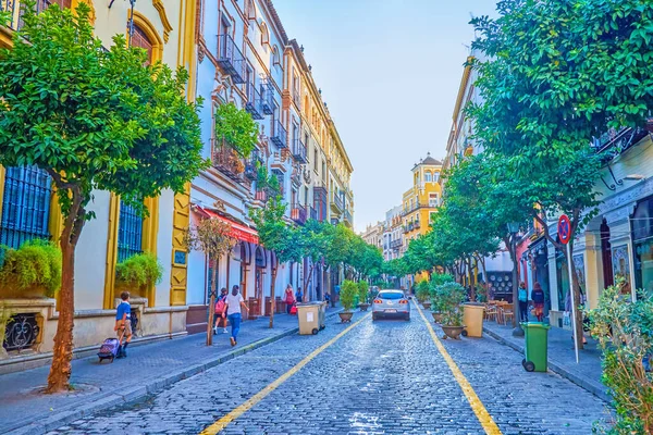 西班牙塞维利亚市中心的一条阴凉的街道 — 图库照片