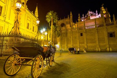 The evening carriga ride in old Seville, Spain