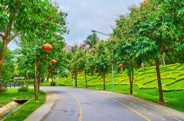 Kırmızı Çin fenerlerinin olduğu sokak, Rajapruek Parkı, Chiang Mai,