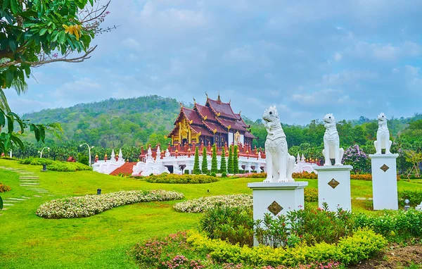 Las estatuas de leones en el parque Rajapruek, Chiang Mai, Tailandia —  Fotos de Stock