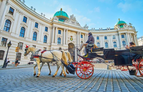 Μεταφορά αλόγων στο Hofburg Palace, Βιέννη, Αυστρία — Φωτογραφία Αρχείου