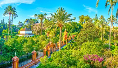 İspanya, Sevilla 'daki Alcazar Sarayı Bahçeleri