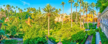 Alcazar Garden kompleksinin muhteşem yeşilliğinin tadını çıkarıyorum, Seville, Sp