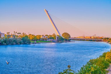 İspanya, Seville 'deki modern Puente del Alamillo köprüsü.