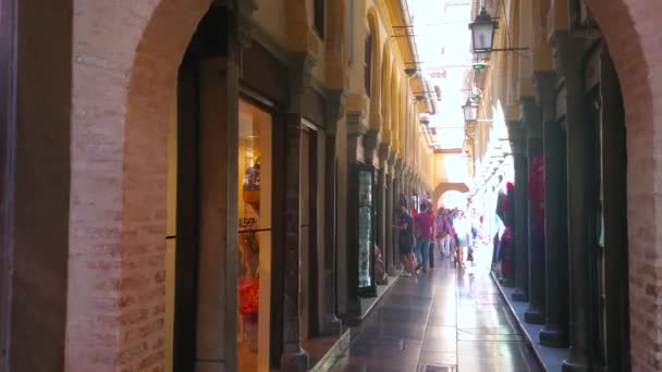 Granada Spanien September 2019 Går Den Smala Calle Alcaiceria Gränden — Stockvideo