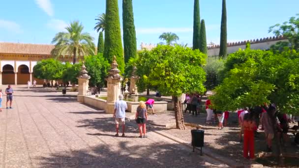 Cordoba Spain September 2019 Scenic Orange Tree Courtyard Patio Los — 图库视频影像