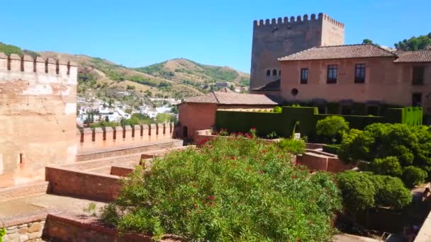 Granada Spanyolország Szeptember 2019 Panorama Patio Machuca Topiary Garden Tall — Stock videók