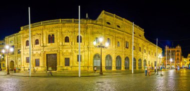 İspanya 'nın Sevilla kentindeki belediye meclisi binasının panoraması