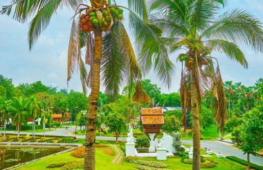 Çiçeklerin ortasındaki tapınak, Rajapruek Parkı, Chiang Mai, Thailan