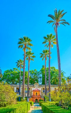 İspanya, Sevilla 'daki Alcazar Garden' da yürüyüş