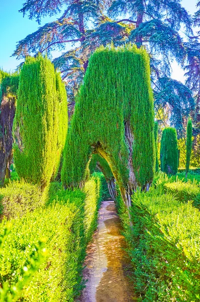 Paseo en laberinto en los Jardines del Alcázar en Sevilla, España — Foto de Stock