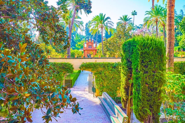 A Royal Alcazar Palace Garden Sevillában, Spanyolországban — Stock Fotó