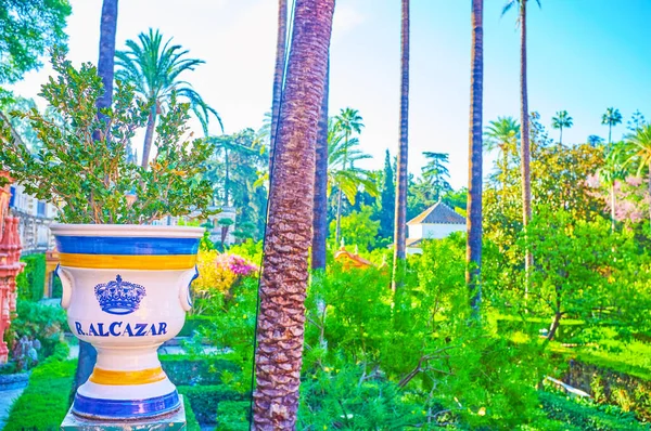 The ceramic vase in Alcazar Gardens in Seville, Spain — Stock Photo, Image