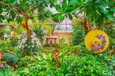 Orkide bahçesinin yemyeşil ve dekoratif şemsiyeleri, Rajapruek parkı, Chiang Mai, Tayland