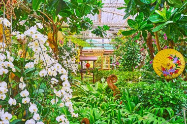 Beyaz orkidelerin, eğreltiotlarının, yemyeşil çiçeklerin ve Rajapruek Park 'ın dekoratif şemsiyelerinin tadını çıkarın.