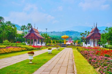 Chiang Mai, Tayland - 7 Mayıs 2019: Kraliyet Rajapruek parkında bulunan altın ağaç heykeli (altın duş) ve Lanna ahşap çadırı.